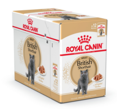 ROYAL CANIN | British Shorthair (WET FOOD - Pouches) 12 x 85g