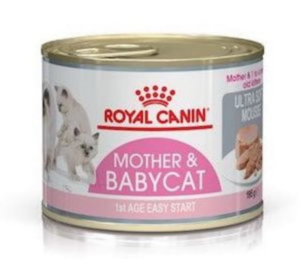 ROYAL CANIN | Mother & Babycat Mousse (WET FOOD - Cans) 12 x 195g