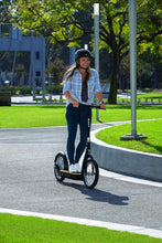 RAZOR | EcoSmart SUP Electric Scooter 25Km/Hr Black | 13173819