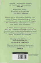 The Book Of Goose Yiyun Li