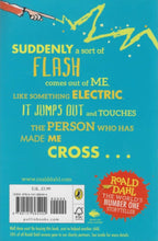 Puffin | Roald Dahl The Magic Finger