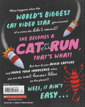 Cat Run In Cat Of Death