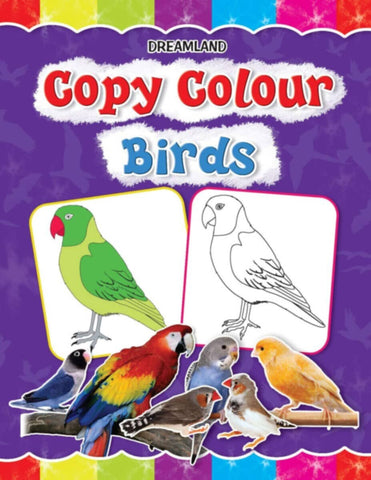 Dl | Copy Colour Birds