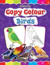 Dl | Copy Colour Birds
