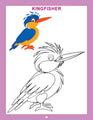 Dl | Copy Colour Birds