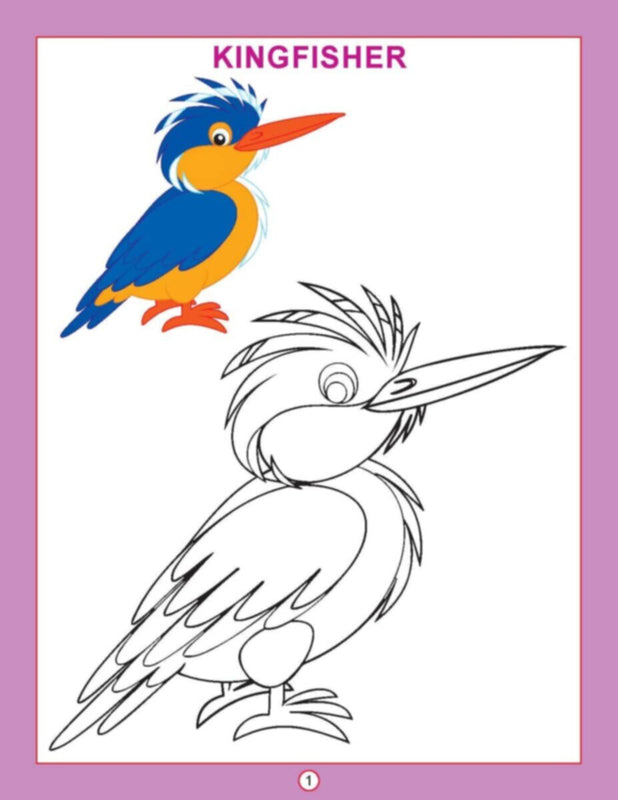 Dl | Copy Colour Birds