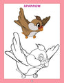 Dl | Copy Colour Birds