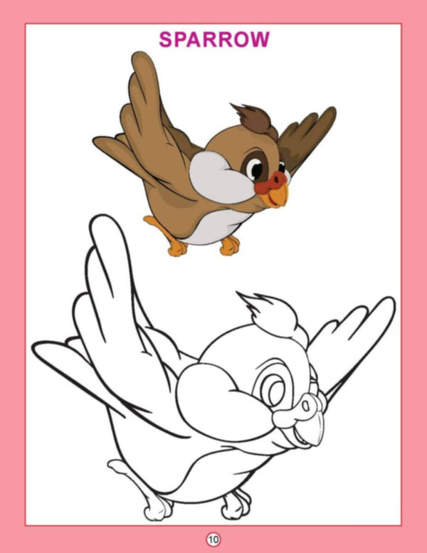 Dl | Copy Colour Birds