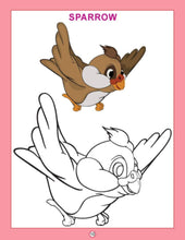 Dl | Copy Colour Birds