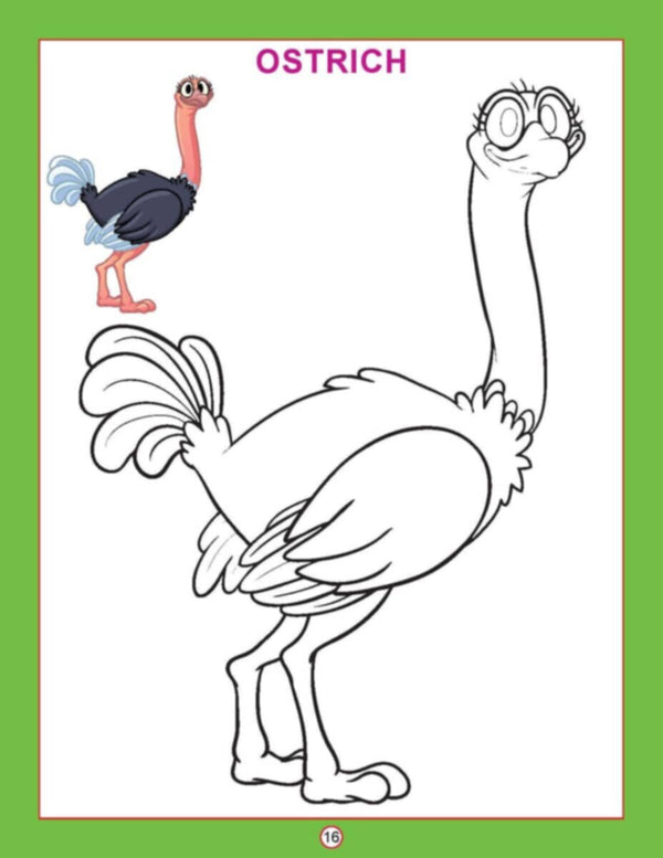 Dl | Copy Colour Birds