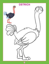 Dl | Copy Colour Birds