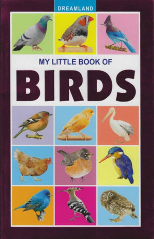 Dl | My Little Book Of Birds