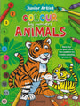 Award | Junior Artist Colour By Number :Animals