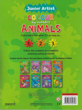 Award | Junior Artist Colour By Number :Animals