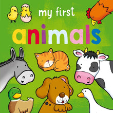 My 1St Baby Books Animals