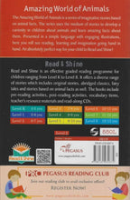 Pegasus | Read & Shine Tobbys Birthday Party (Amazing World