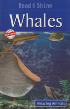 Pegasus | Read & Shine Whales (Amazing Animals)