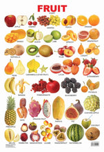 Educational Chart Fruits