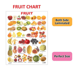 Educational Chart Fruits