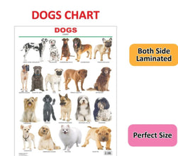 Educational Chart Dogs