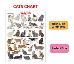 Educational Chart Cats