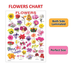 Educational Chart Flowers
