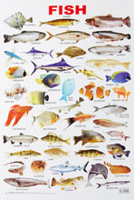 Educational Chart Fish