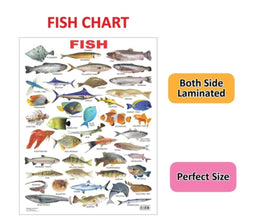 Educational Chart Fish
