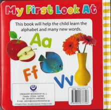 Mt First Look At The Alphabet