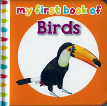 My First Book Of Birds
