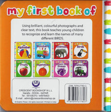 My First Book Of Birds