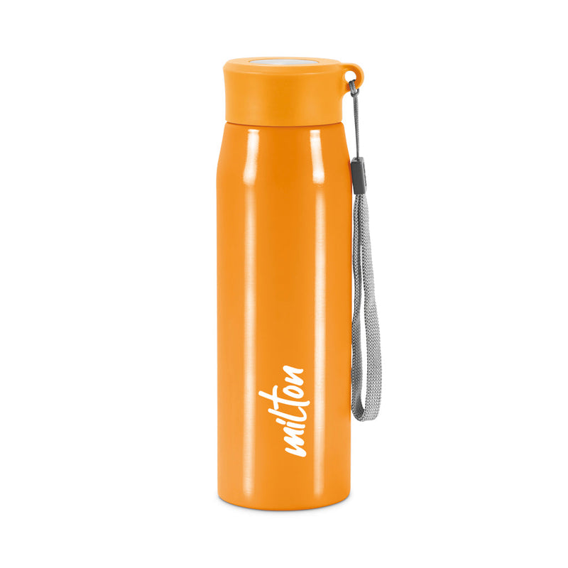MILTON | Handy Stainless Steel Bottle 780ml US0041 | HLT103HHL00049-Black
