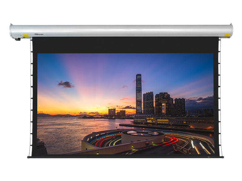 PROJECTOR SCREEN | Curved Shell Electric Projection Screen MX Series | MX550(140inch)