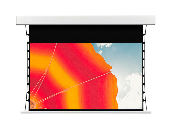 PROJECTOR SCREEN | Aluminum Alloy Fully Enclosed Electric Projection Screen RX Series | RX350M