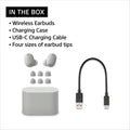 SONY | Truly Wireless Noise Cancelling Earbuds (2026 Model) Silver | WF-1000XM6/S