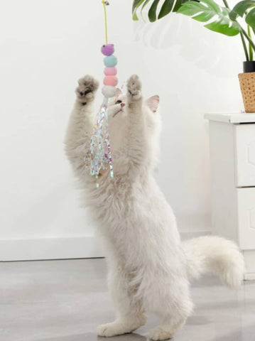 Teaser With Elastic Cord- Purple