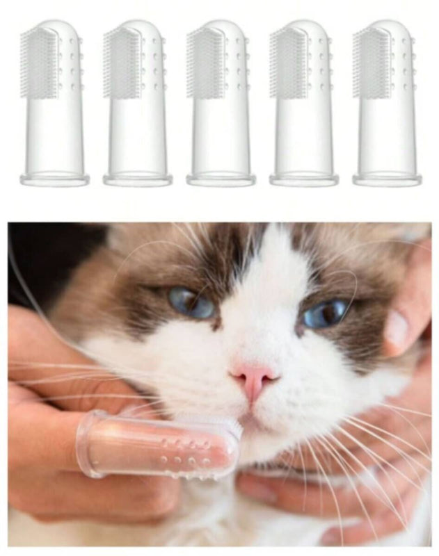 Cat & Dog - Tooth Brush