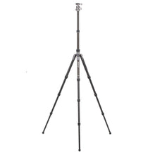 BENRO | Bat Carbon Fiber Tripod Kit with VX25 Ball Head Tripod | FBAT24C