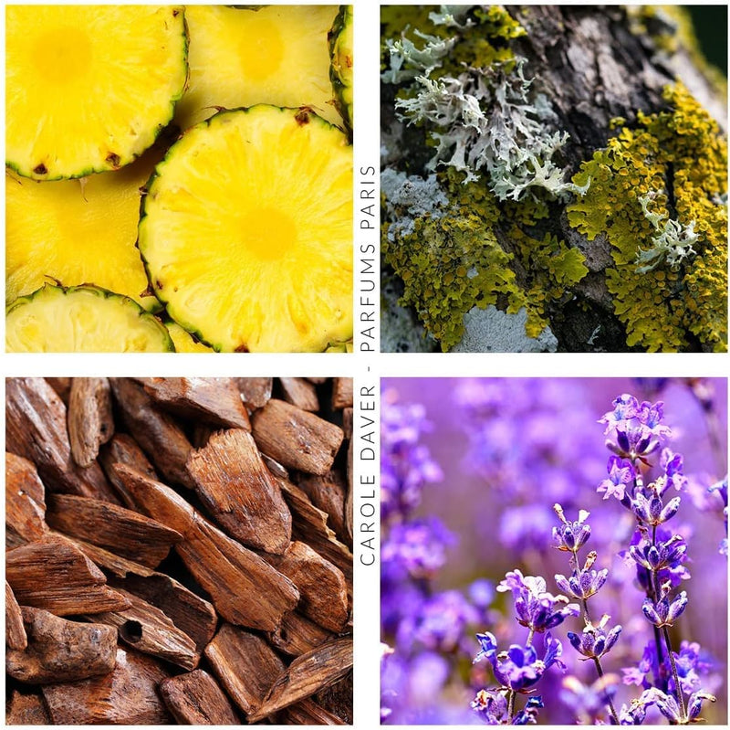 CHRISTINE DARVIN | Lexus Men Eau De Toilette for Men 100 | 3243653433093