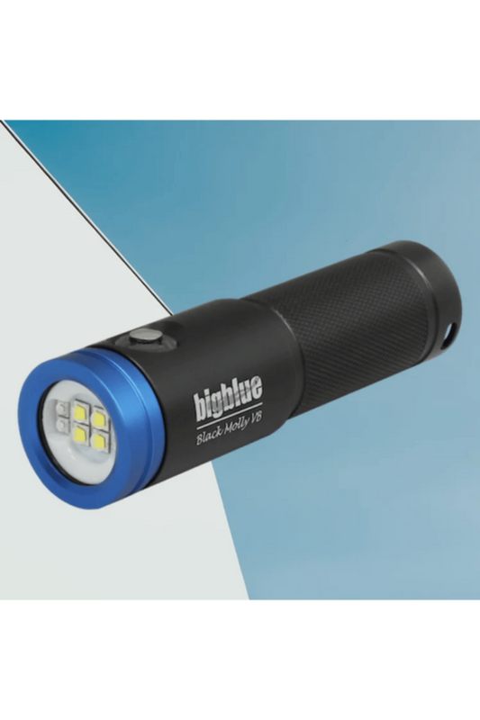 BIG BLUE | Black Molly VB 2600 Lumens Li-ion Rechargeable Battery LED Light with Blue Light | AL2600XWPB