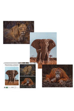 AMBASSADOR | Photographers Collection - 1000 Pc. Puzzle Tri-Pack - Boyd #2 | 42001014