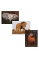 AMBASSADOR | Photographers Collection - 1000 Pc. Puzzle Tri-Pack - Boyd #4 | 42001016