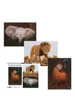 AMBASSADOR | Photographers Collection - 1000 Pc. Puzzle Tri-Pack - Boyd #4 | 42001016