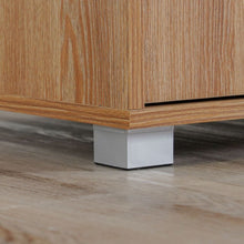 DANUBE | Beak 30-Pair Shoe Cabinet | 813200100069