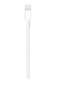 APPLE | Lightning to USB Cable (0.5 m) | ME291ZM/A