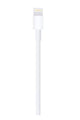 APPLE | Lightning to USB Cable 1m | MXLY2