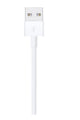 APPLE | Lightning to USB Cable 1m | MXLY2