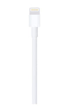 APPLE | Lightning to USB Cable (2 m) | MD819ZM/A