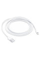 APPLE | Lightning to USB Cable (2 m) | MD819ZM/A