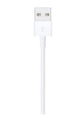 APPLE | Lightning to USB Cable 2m | MD819